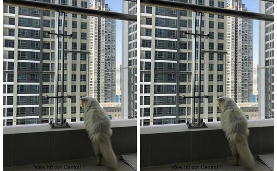 apartment for rent in Binh Thanh district BT105P1567 (7)